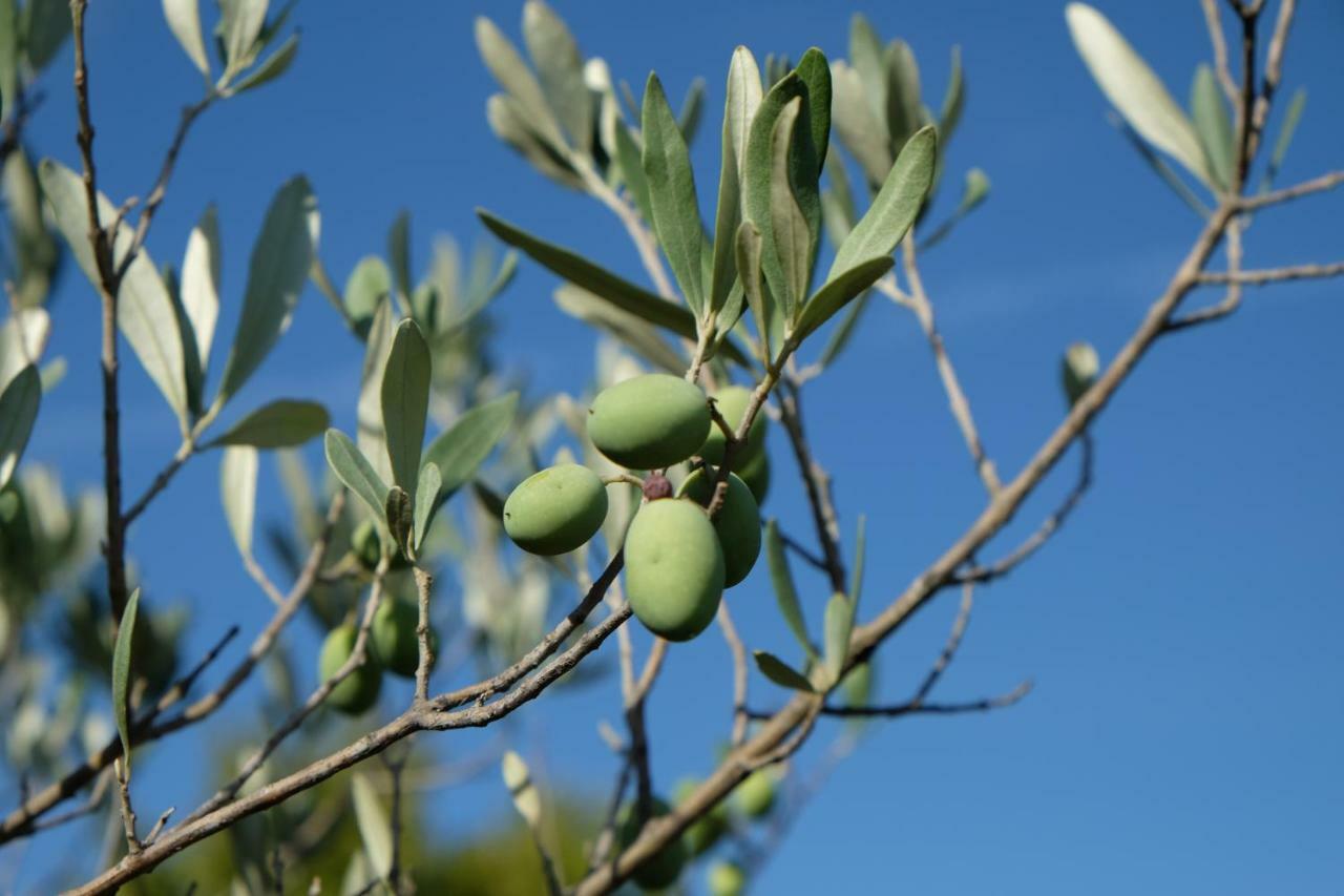 L'Ete Indien Monteux Luaran gambar